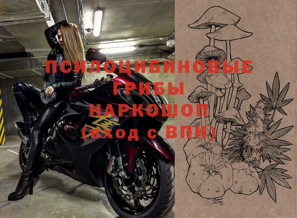 ALPHA PVP Алзамай