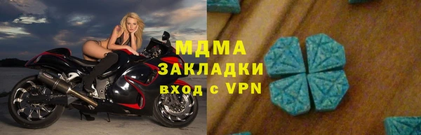 хмурый Пересвет
