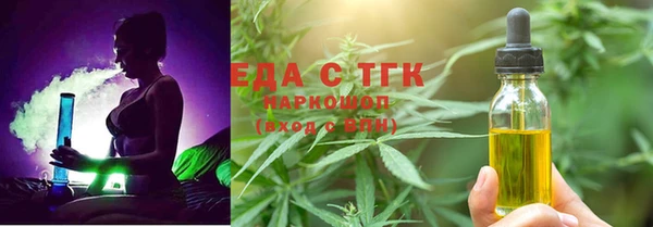 хмурый Пересвет