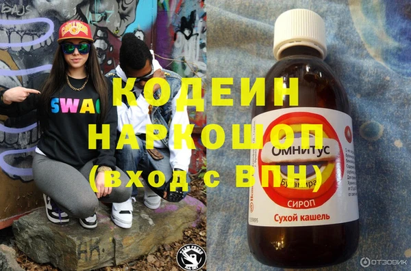 хмурый Алексин