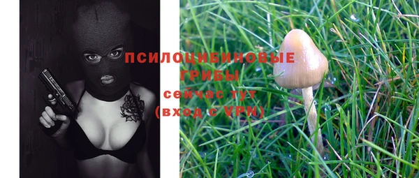 кокс Пестово