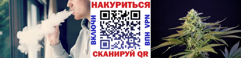 как найти   Новая Ладога  Каннабис план 